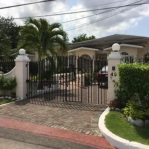 Kingston Studio Apartment Guest house