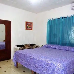 Yard Style Guest house