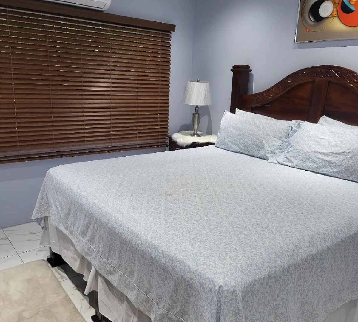 The President Room 5 Minutes To Devon House 4 Waterloo Avenue Kingston